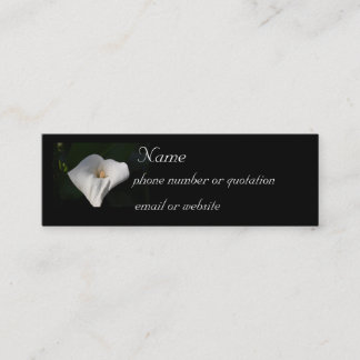Visite Mini Zantedeschia - carte de profil