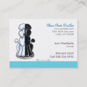 Visite Poodle Chien Art Animal de compagnie Bleu Carte de