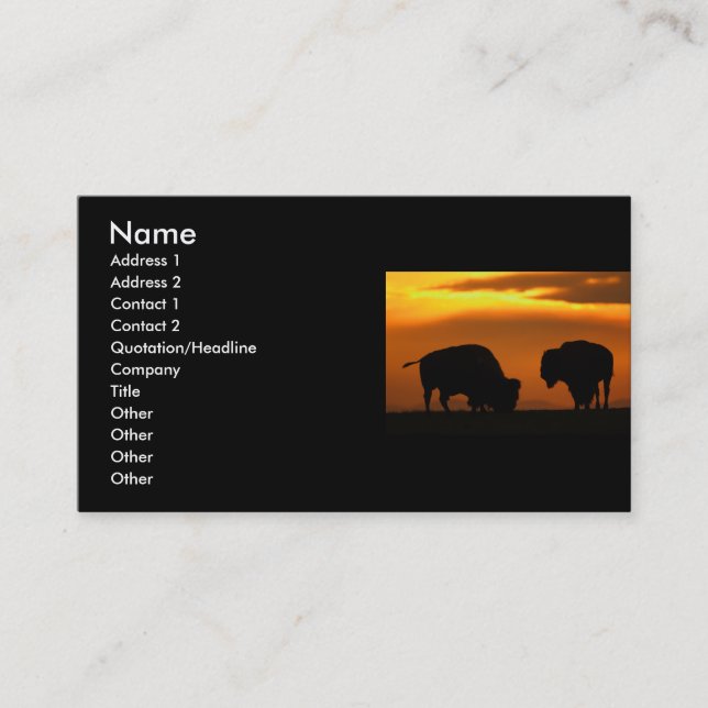 Visite profil ou carte de visite, bison (Devant)