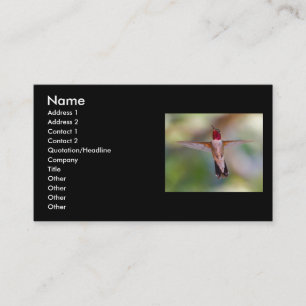 Visite profil ou carte de visite, colibri
