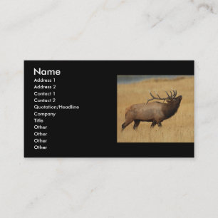 Visite profil ou carte de visite, élan
