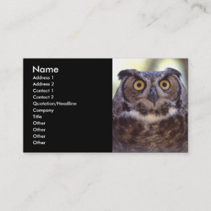 Visite profil ou carte de visite, hibou