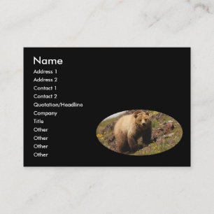 Visite profil ou carte de visite, ours gris
