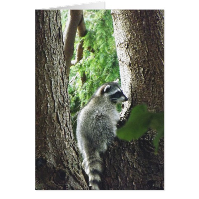 Visiteur inattendu (Devant)