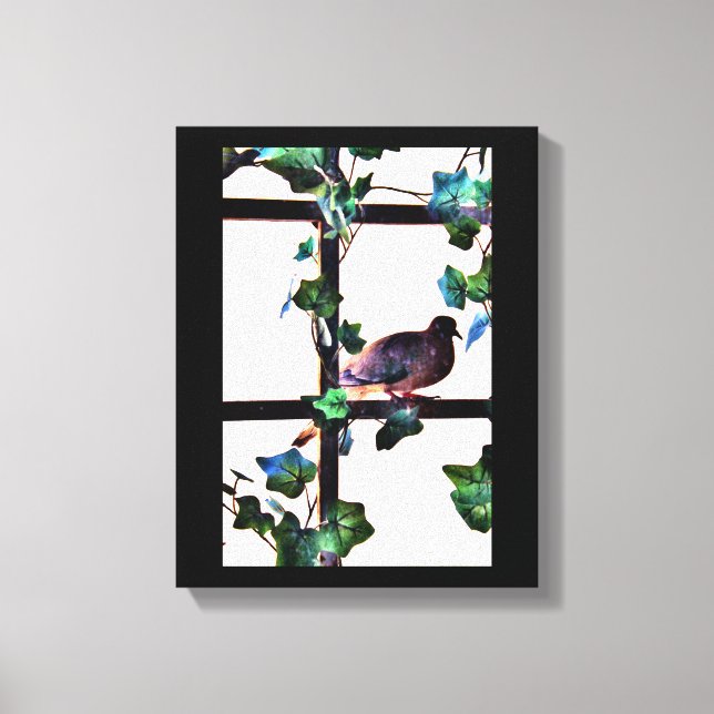 Visiting Dove Canvas Print (Front)