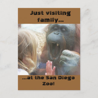 Visiting Family at the San Diego Zoo Postcard