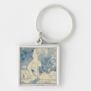 Vital statistics, United States census Keychain