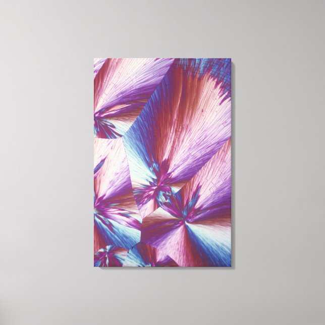 Vitamin C or ascorbic acid crystals Canvas Print (Front)
