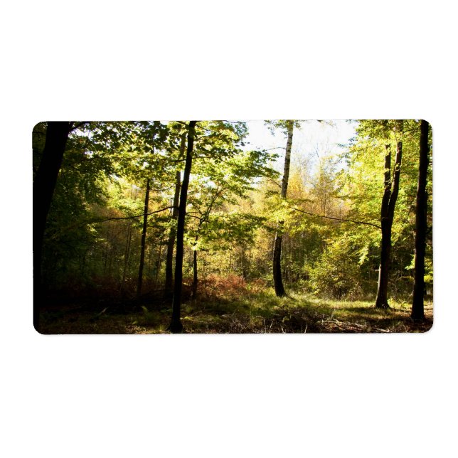 Vitrage de forêt (Devant)