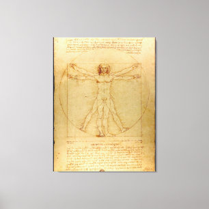 Vitruve Luc Viatour by Leonardo da Vinci Canvas Print
