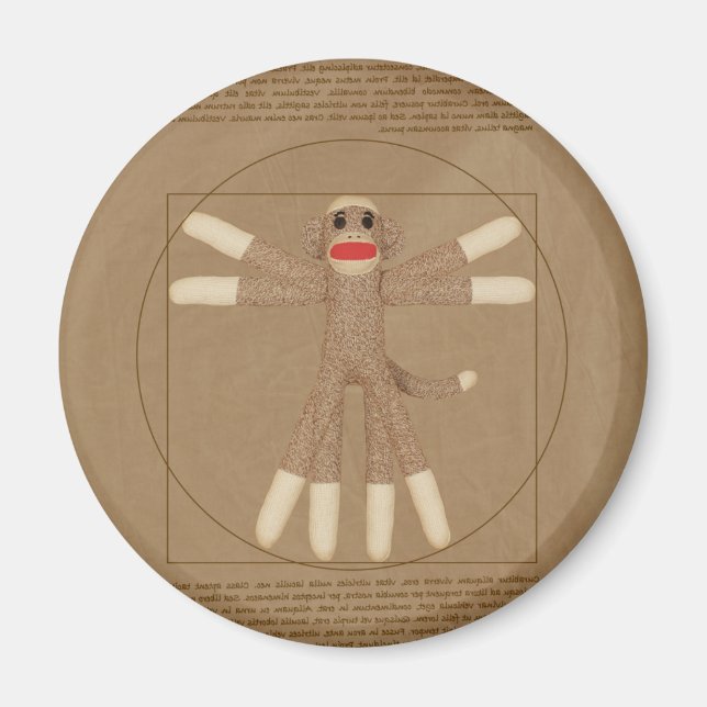 Vitruve Magnet de singe (Devant)