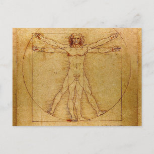 Vitruvian Man By Leonardo Da Vinci Postcard