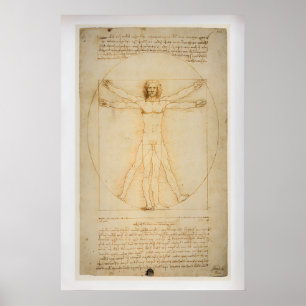 Vitruvian Man by Leonardo da Vinci  Vintage Fine Poster
