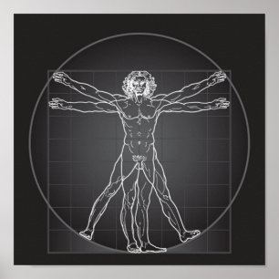 vitruvian man contempory poster FROM 14.95