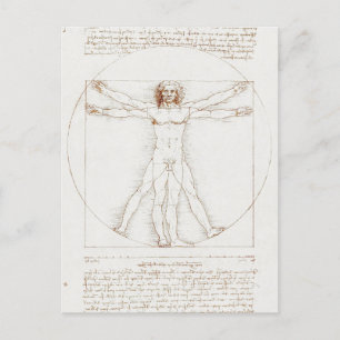 Vitruvian Man Da Vinci Postcard