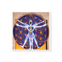 Vitruvian Man, Flower of Life, Squaring Circle