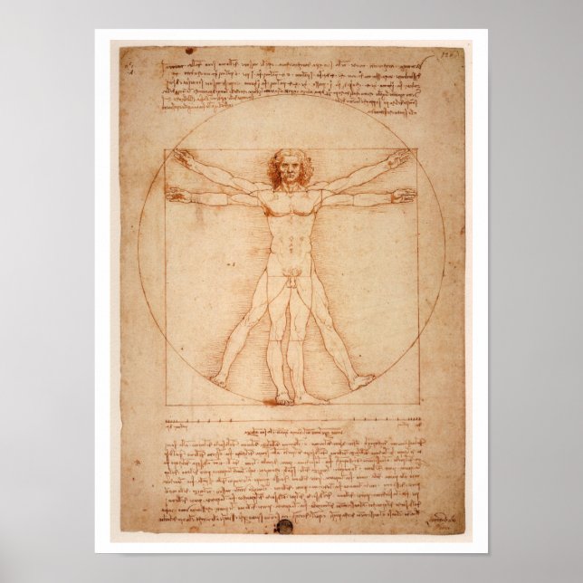 "VITRUVIAN MAN" LEONARDO DA VINCI POSTER (Devant)