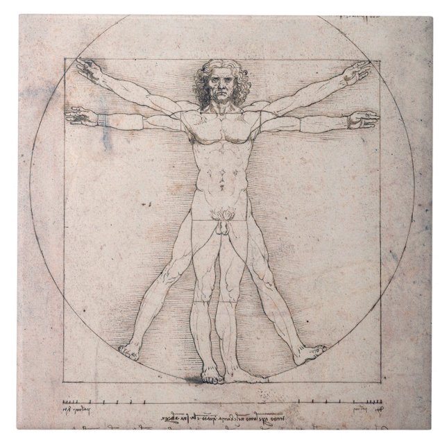 Vitruvian Man, Leonardo da Vinci Tile (Front)