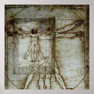 Vitruvian Man Poster