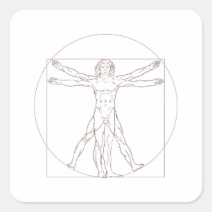 Vitruvian Man Square Sticker