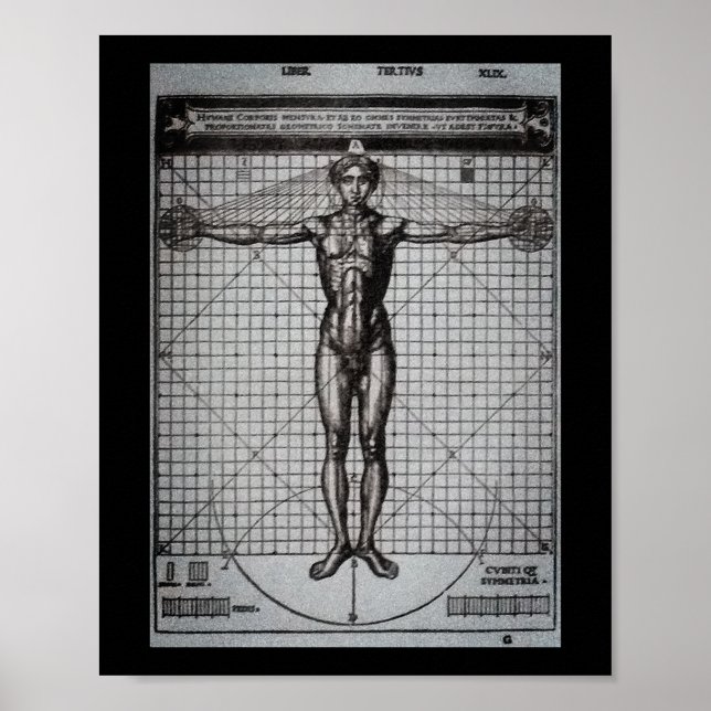 Vitruvian Man (Vitruvius: De architectura) Poster (Front)