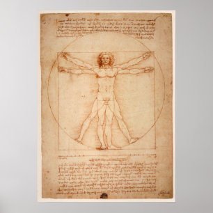 Vitruviano Man Poster