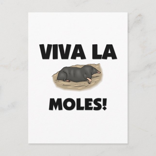 Viva La Moles Postcard (Front)