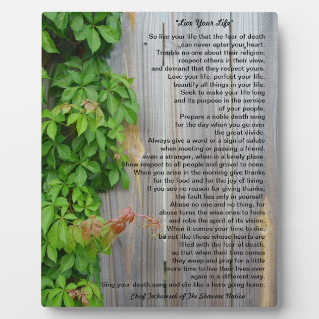 Vivez votre vie, plaque du chef Tecumseh (Devant)