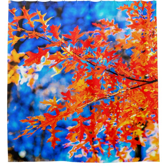 Vivid Autumn Leaves (Front)