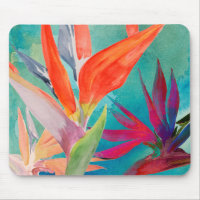Vivid Birds of Paradise