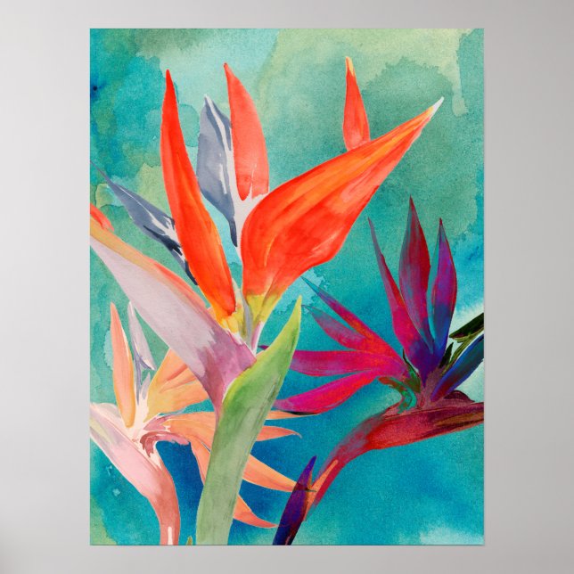 Vivid Birds of Paradise Poster (Front)