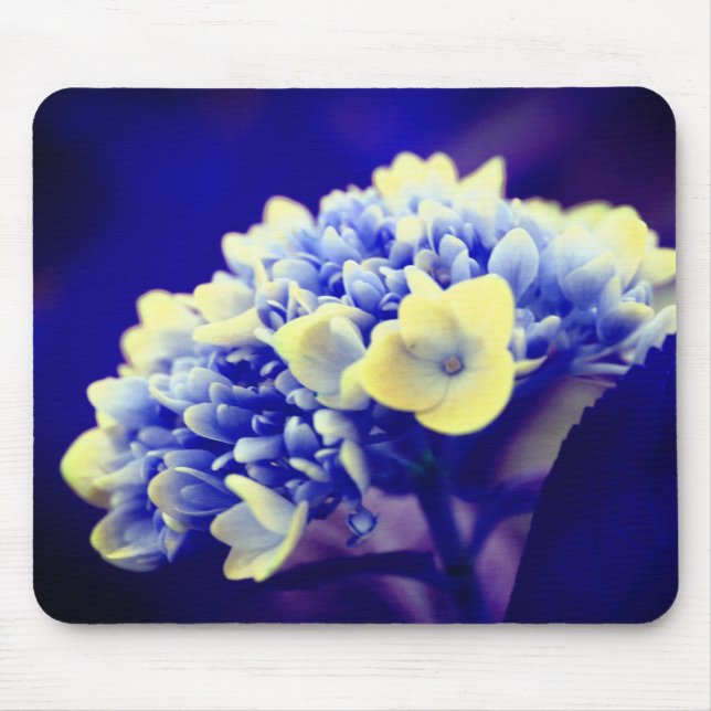 Vivid Blue Hydrangea Flower Mouse Pad (Front)