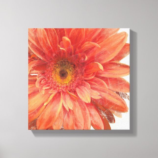 Vivid Daisy Canvas Print (Front)