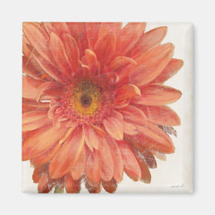 Vivid Daisy Magnet