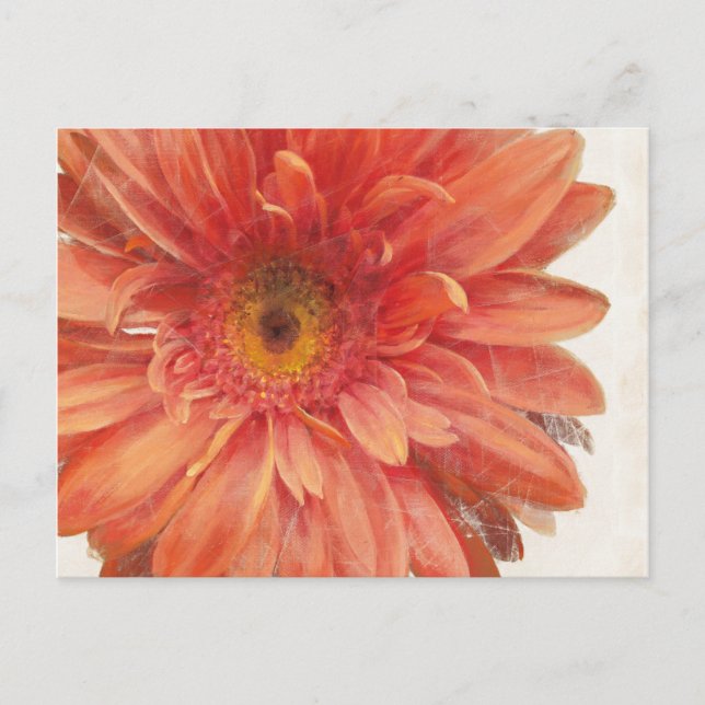 Vivid Daisy Postcard (Front)