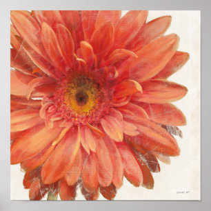 Vivid Daisy Poster
