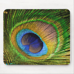 Vivid Feather Mouse Pad