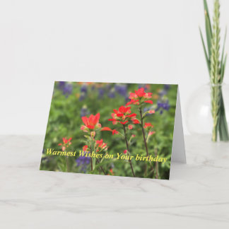 Vivid Indian Paintbrush Holiday Card