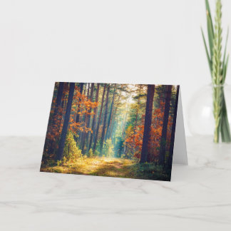 Vivid Morning In Colourful Forest With Sun Rays Card