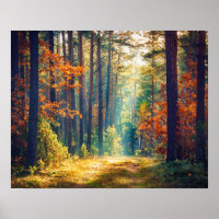 Vivid Morning In Colourful Forest With Sun Rays