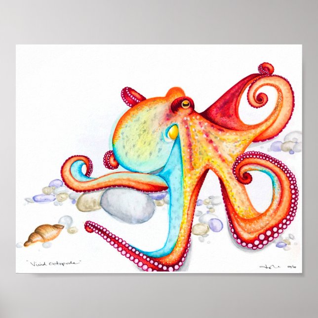 Vivid Octopoda Poster (Front)