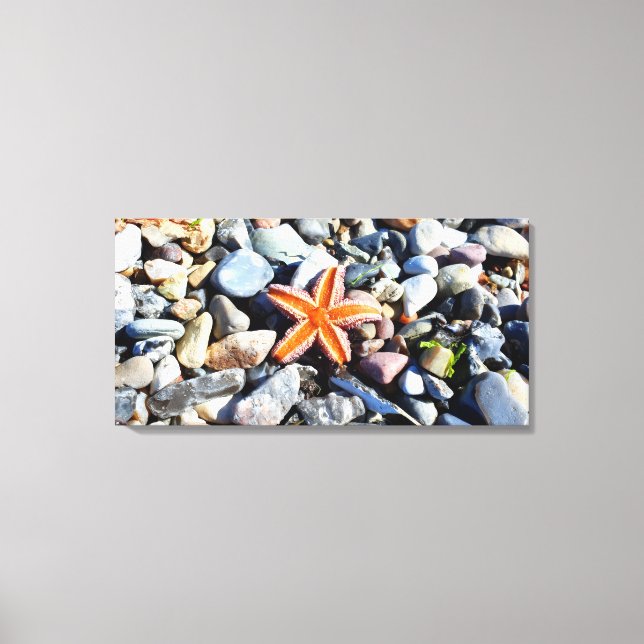 Vivid Orange Starfish Beach Pebble Canvas Print (Front)