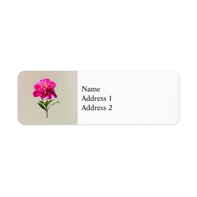 Vivid Peony rose (Devant)