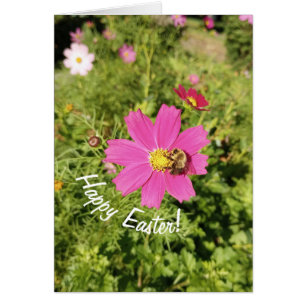 Vivid Pink Cosmos Flower Easter Card
