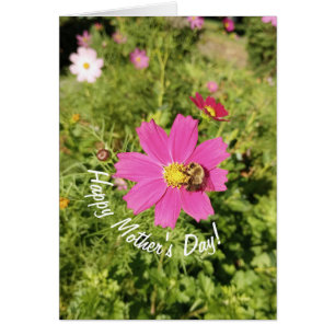 Vivid Pink Cosmos Flower Mother's Day Card