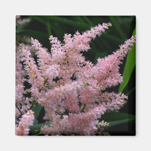 Vivid Pink Flower Photo Magnet