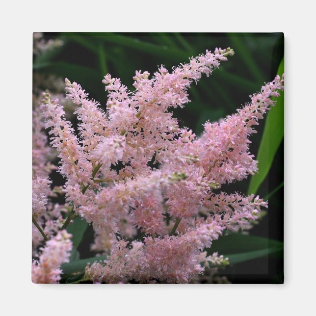 Vivid Pink Flower Photo Magnet (Front)