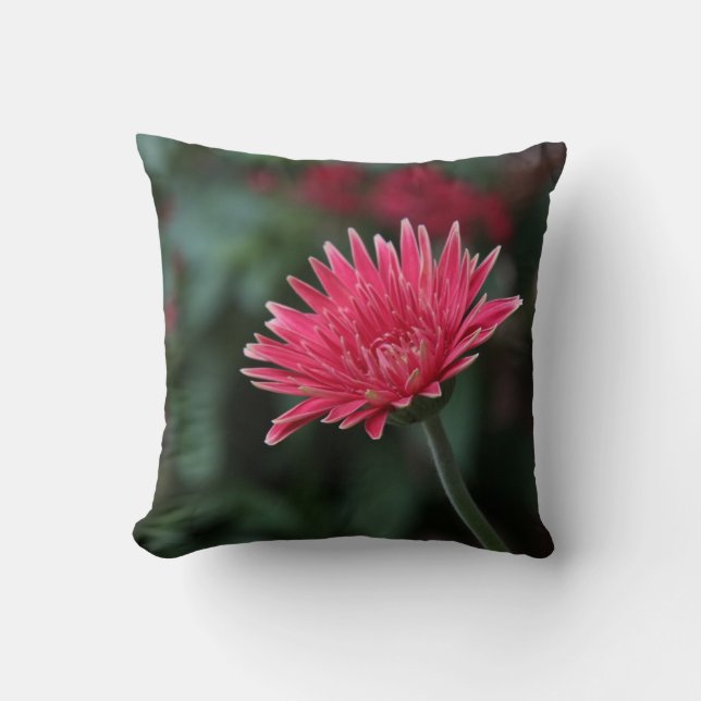 Vivid Pink Gerbera Daisy on Green Background Throw Pillow (Front)