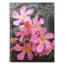 Vivid Pink Hawaiian Flowers Photo Spiral Notebook