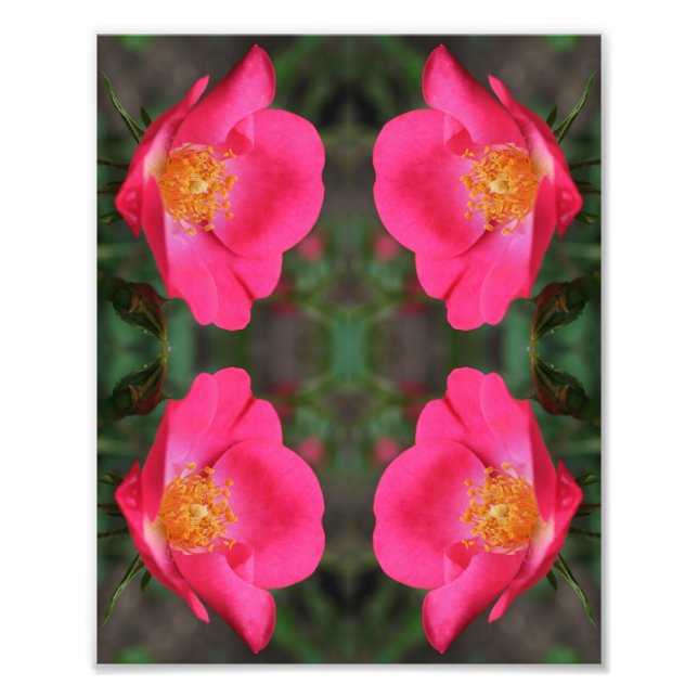 Vivid Pink Rose Petals Abstract Floral Art 8x10 Photo Print (Front)